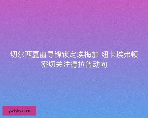 切尔西夏窗寻锋锁定埃梅加 纽卡埃弗顿密切关注德拉普动向